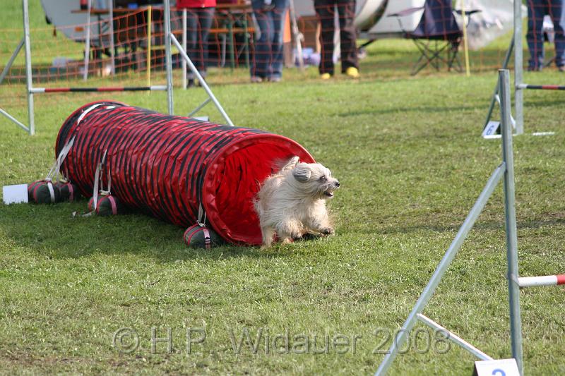 jubil.lusten3 112.jpg